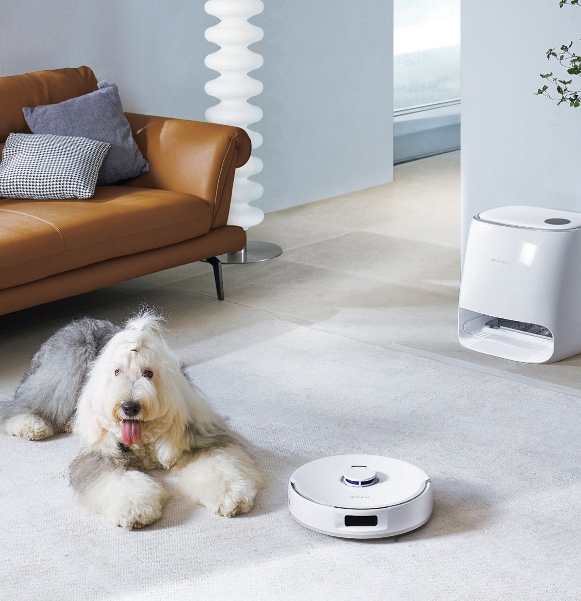 A dog lies next to a brown sofa, and a white narwal robot vacuum cleaner is running and cleaning next to it.